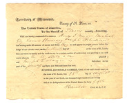 0v8381686?file=thumbnail