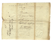 2v23vv724?file=thumbnail