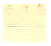 44558f62p?file=thumbnail