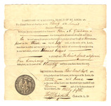 6m311q11x?file=thumbnail