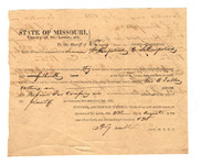 Gf06g372g?file=thumbnail