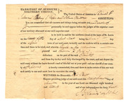 Rv042v04n?file=thumbnail