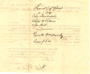 Sn00b003n?file=thumbnail