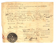 V405sb413?file=thumbnail