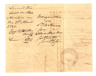 V979v397g?file=thumbnail