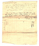 Xw42n8787?file=thumbnail